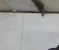 Контрактный (б/у) двигатель PNDA (1752082) для FORD - 1.6л., 125 л.с., Бензиновый двигатель