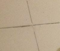 Контрактный (б/у) двигатель Z 12 XEP (5601481) для OPEL, SUZUKI, VAUXHALL - 1.2л., 80 л.с., Бензиновый двигатель