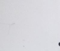 Контрактный (б/у) двигатель BUD (036100038L) для SKODA, VOLKSWAGEN - 1.4л., 80 л.с., Бензиновый двигатель