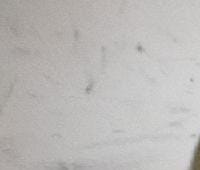 Контрактный (б/у) двигатель KFU (ET3J4) (0135JW) для CITROEN, PEUGEOT - 1.4л., 88 л.с., Бензиновый двигатель