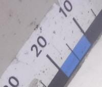 Контрактная (б/у) КПП 5FW (EP6) (2231K9) для CITROEN, PEUGEOT - 1.6л., 120 л.с., Бензиновый двигатель