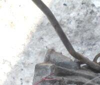 Контрактная (б/у) КПП J20A (2100065J12) для SUZUKI, CHEVROLET, GEO, MARUTI SUZUKI - 2л., 128 - 132 л.с., Бензиновый двигатель