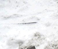 Контрактная (б/у) КПП J20A (2100065J12) для SUZUKI, CHEVROLET, GEO, MARUTI SUZUKI - 2л., 128 - 132 л.с., Бензиновый двигатель