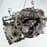 Контрактная (б/у) КПП D4FA (4300023271) для EFFEDI, FORD и др. - 1.5л., 88 - 105 л.с., Дизель