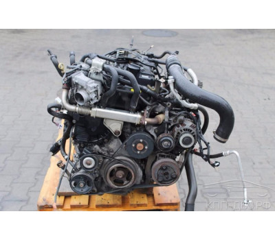 Контрактный (б/у) двигатель YD25DDTi Nissan Pathfinder 2.5 dCI 2005-2014 в Москве